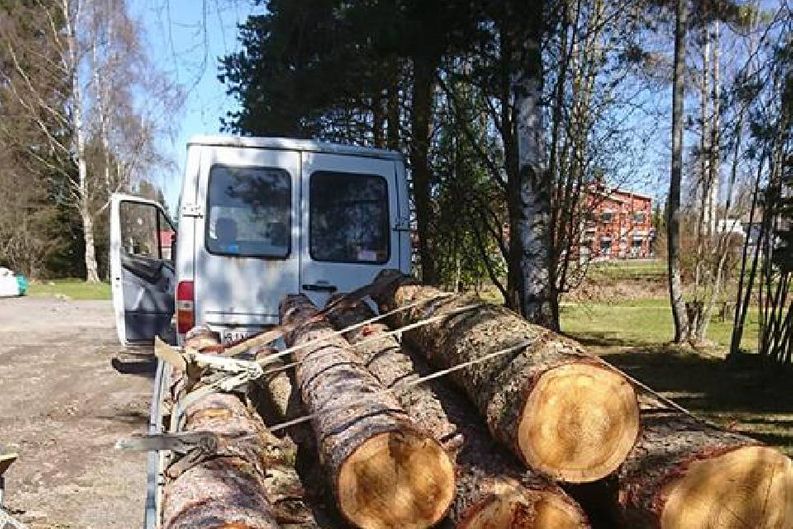 Pakettiauto ja kaadettuja puita